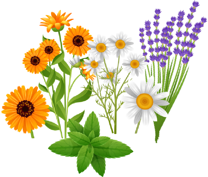 natural extracts